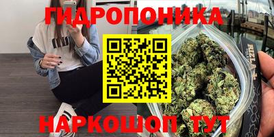 ECSTASY Ирбит