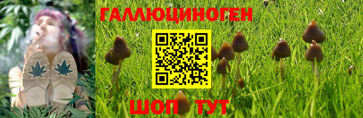 Галлюциногенные грибы Magic Shrooms Курчатов